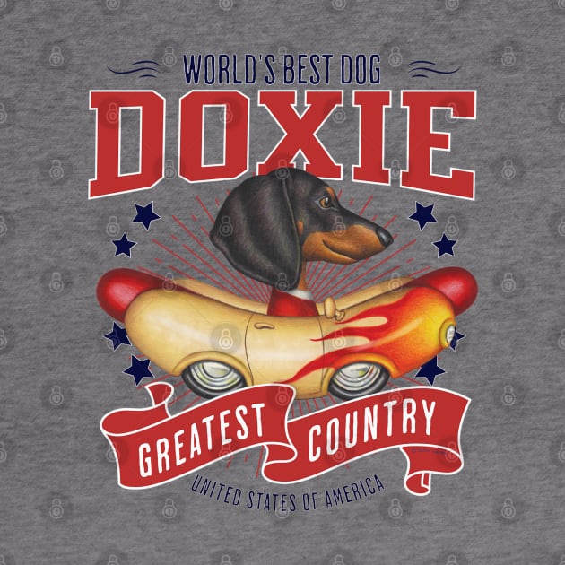 Doxie with red white and blue patriotic Dachshund in Flame Hotdog Car USA by Danny Gordon Art